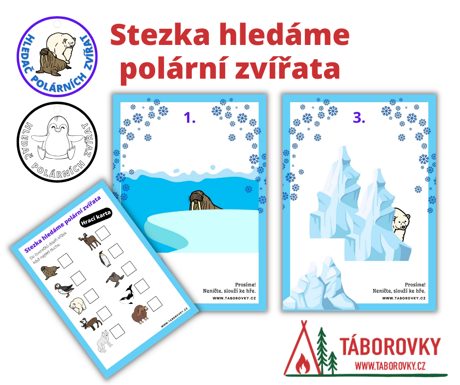Polární zvířata hledací bojovka pdf materiál pro děti